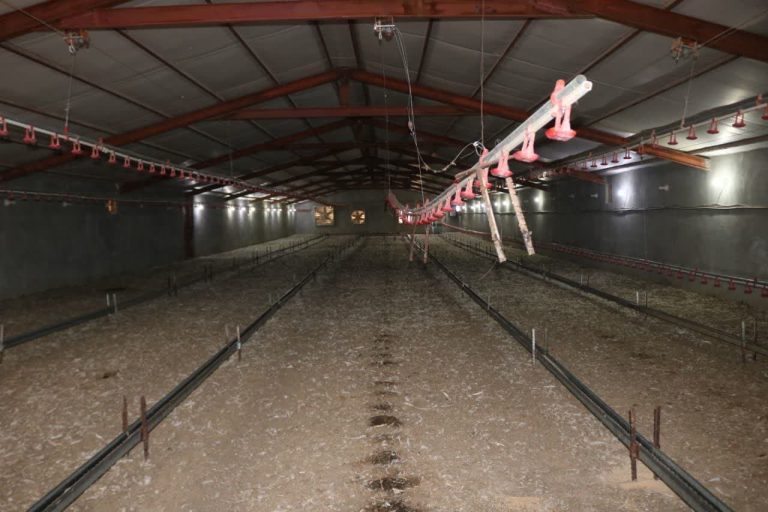 افتتاح مرغداری آقای سبحانی با ظرفیت ۱۰ هزار قطعه