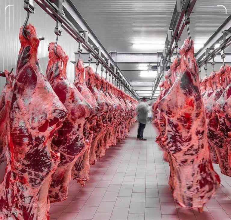 بازار گوشتِ قرمز به ثبات میرسد