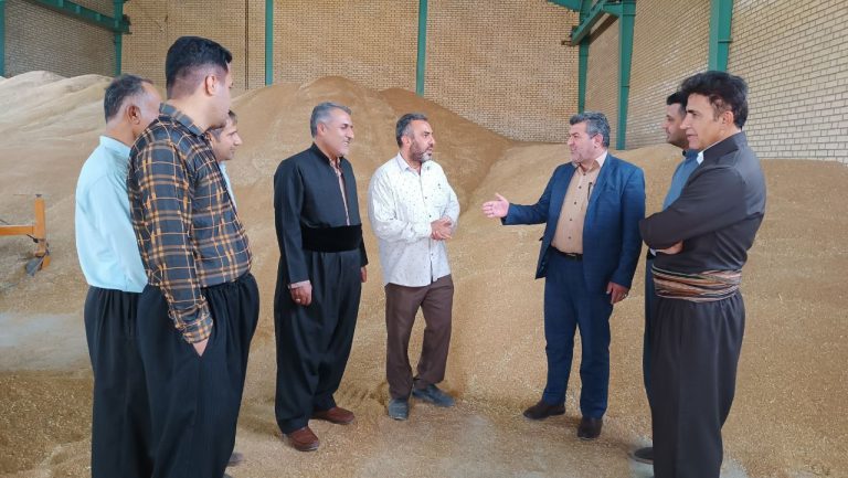 بازدید باوندپور فرماندار شهرستان ثلاث باباجانی از مرکز خرید گندم ازگله (آقای دلاوری)