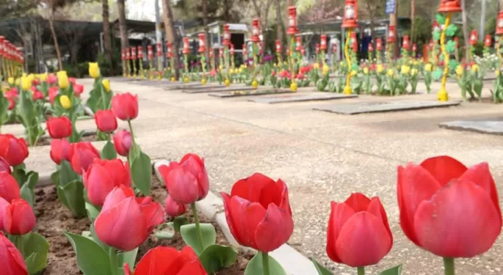 خدایا! صدها بار جانم را در راهت میدهم