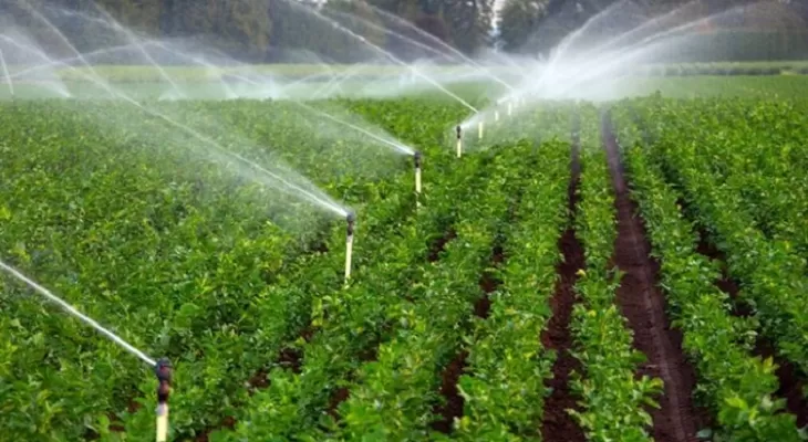 سرمایهگذاری ۱.۶ میلیون دلاری در کشاورزی کرمانشاه