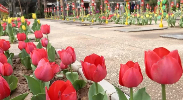 از عشق به میهن تا شهادت