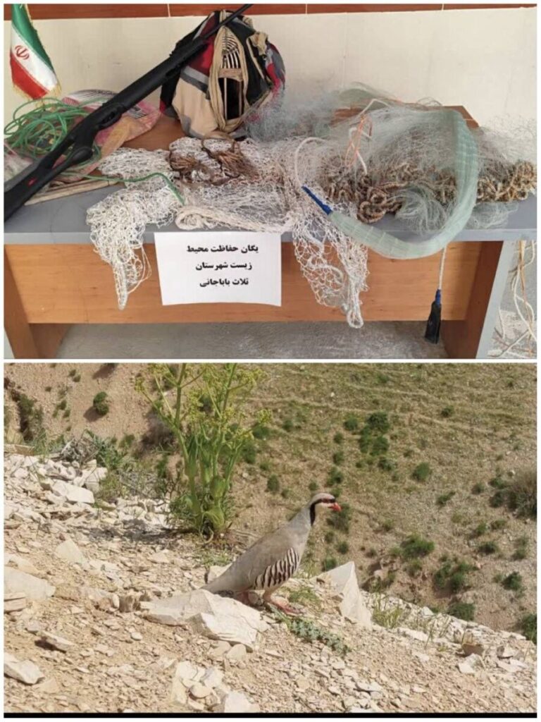 دستگیری ۴ اکیپ شکارچی و صیاد متخلف در شهرستان ثلاث باباجانی
