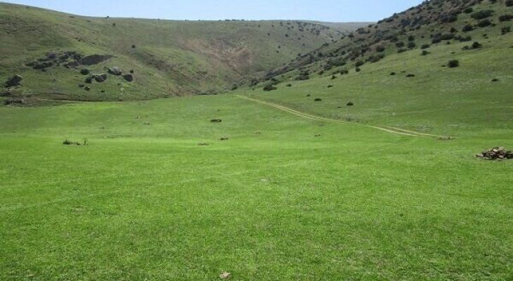 مدیرکل منابع طبیعی استان کرمانشاه مطرح کرد